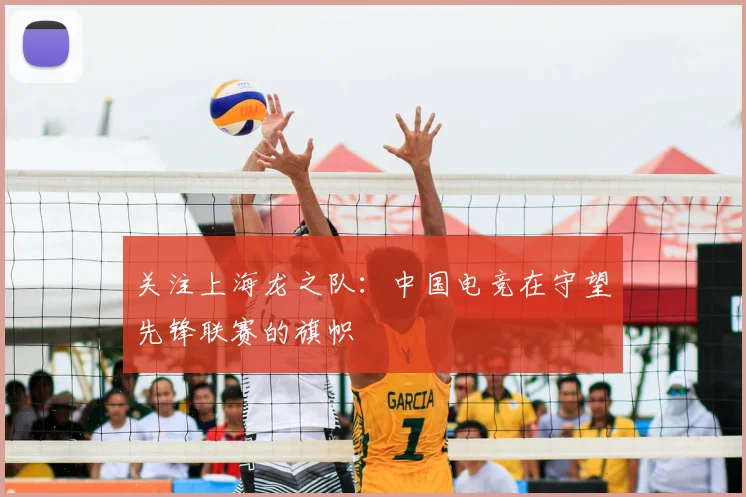 关注上海龙之队：中国电竞在守望先锋联赛的旗帜