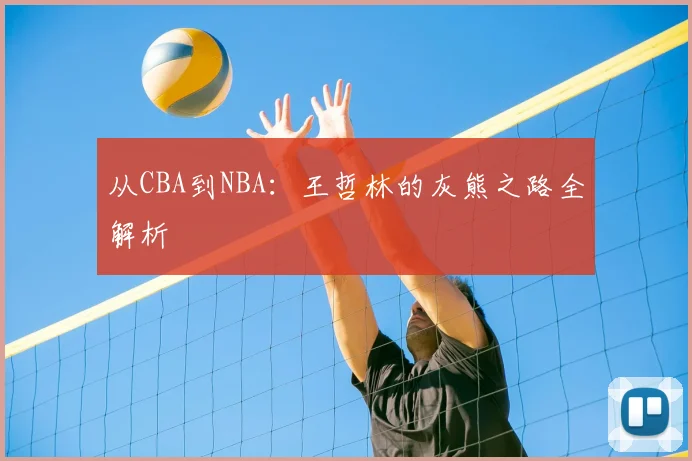 从CBA到NBA：王哲林的灰熊之路全解析