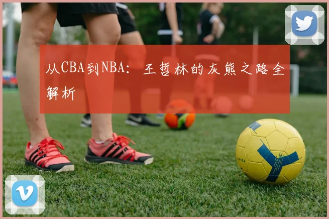 从CBA到NBA：王哲林的灰熊之路全解析
