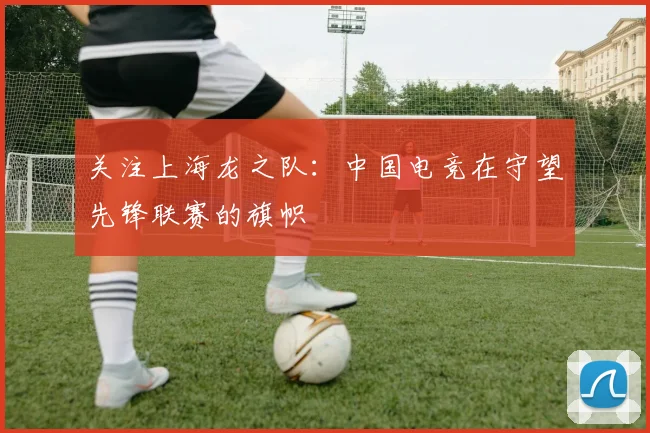 关注上海龙之队：中国电竞在守望先锋联赛的旗帜